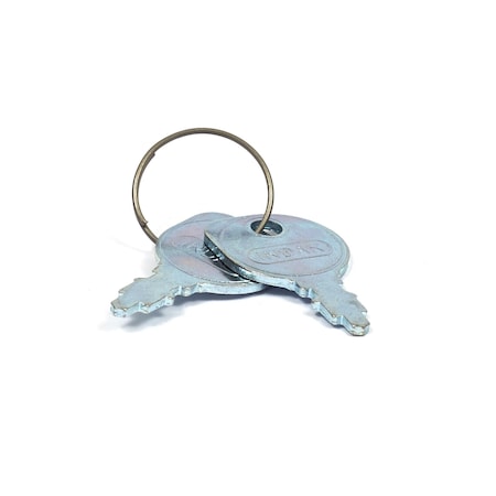 Briggs & Stratton Ignition Key, Pair 7011138YP